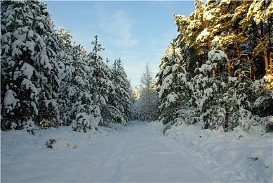 《惩戒魅魔》加入同伴自定义功能 给同伴捏脸化妆